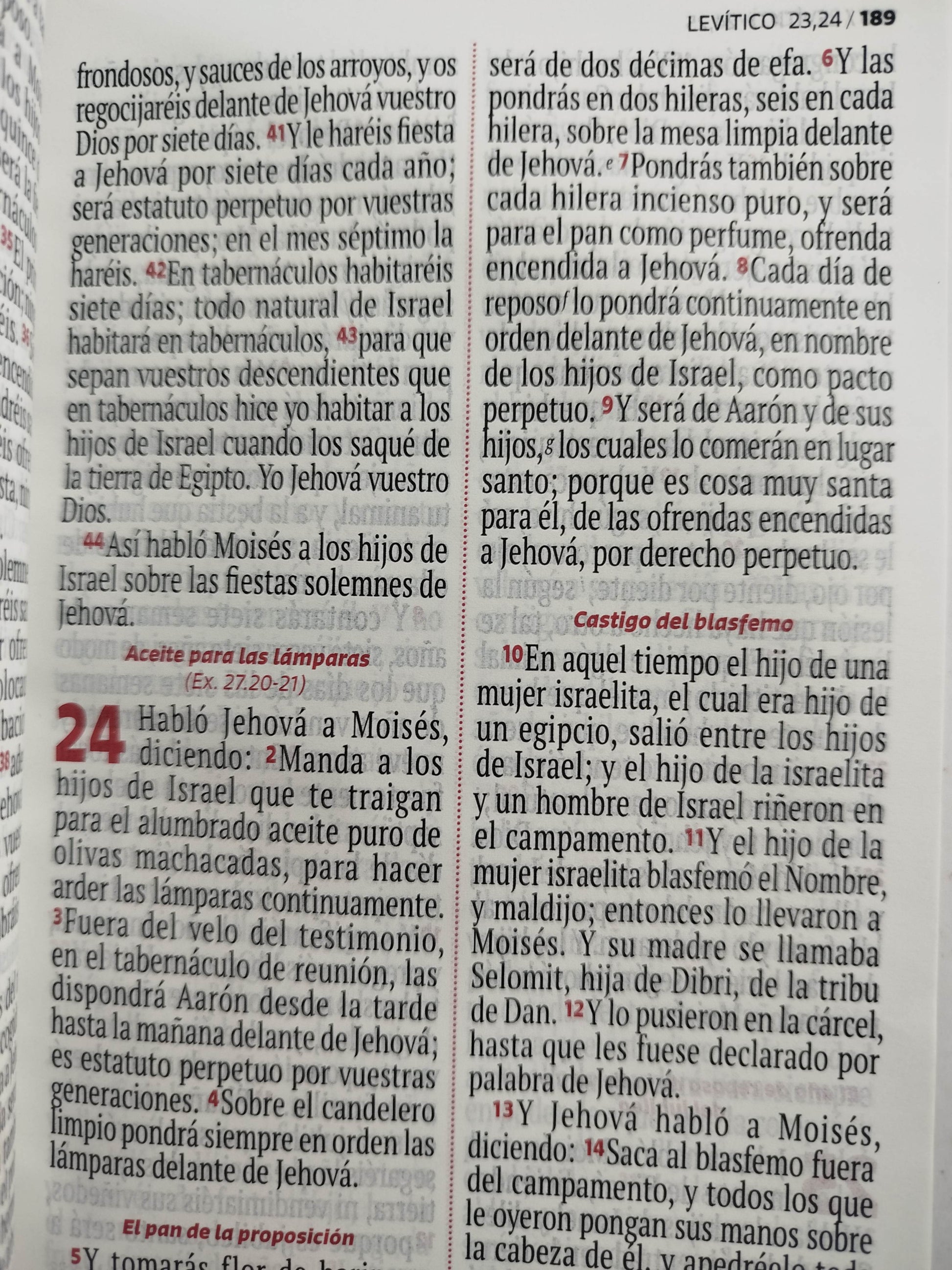 Biblia RVR 1960 letra grande lila - blanco by Reina Valera 1960