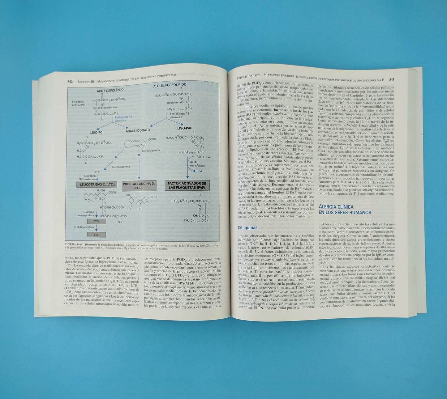 Inmunología celular y molecular tercera edición