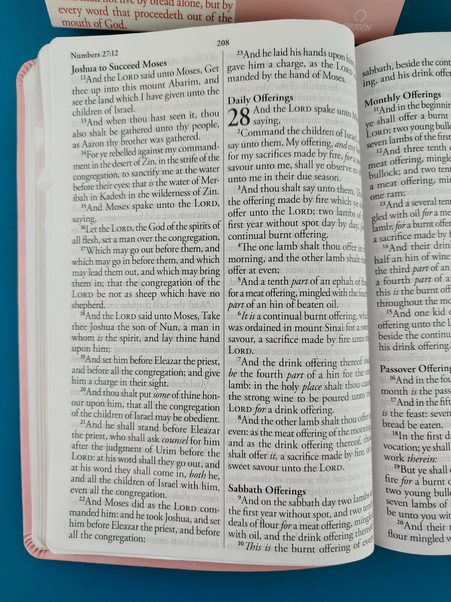 Biblia en ingles holy bible king james version rosada con índice