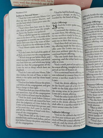 Biblia en ingles holy bible king james version rosada con índice