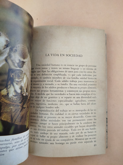 La conducta de los animales