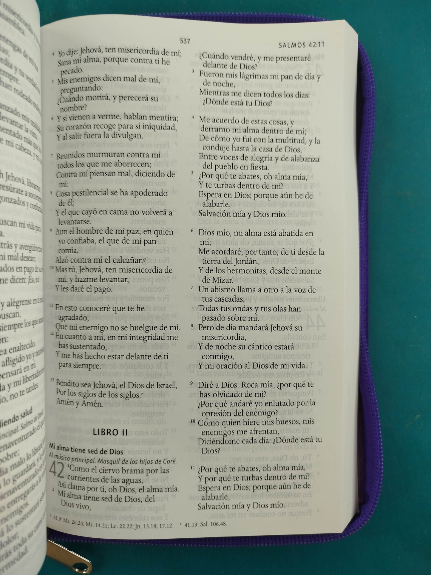 Biblia rvr 1960 letra grande estuche morado-flores lila vertical