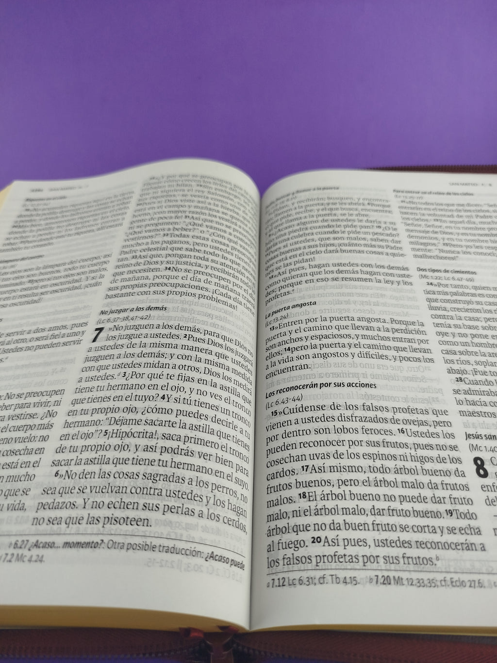 Biblia Dios Habla Hoy Letra Gigante Vinotinto by Varios
