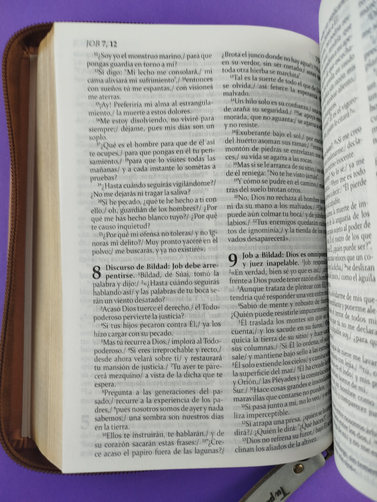 sagrada biblia de américa colección estuche miel by Varios