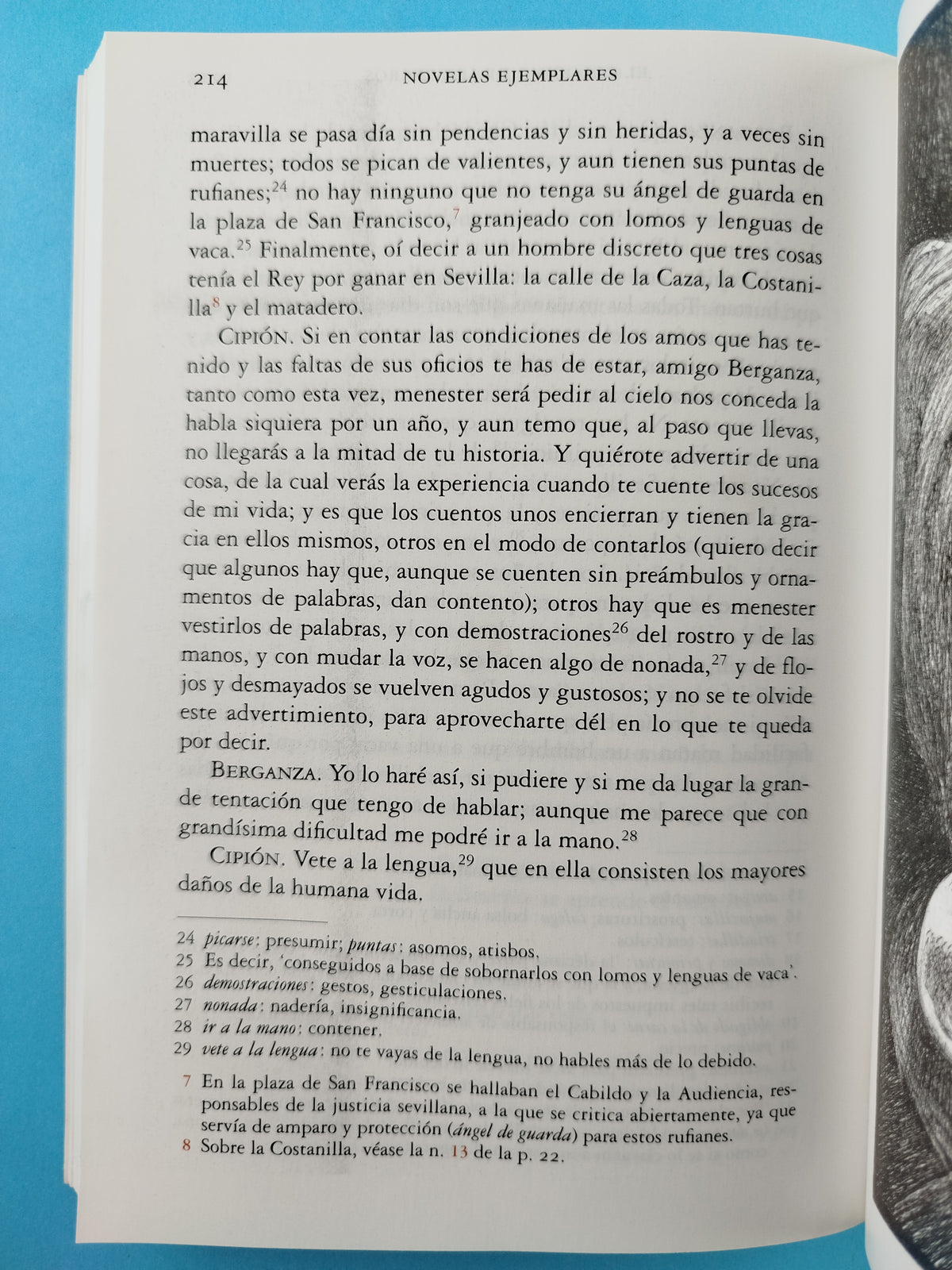 El licenciado vidriera y otras novelas ejemplares by Miguel de Cervantes