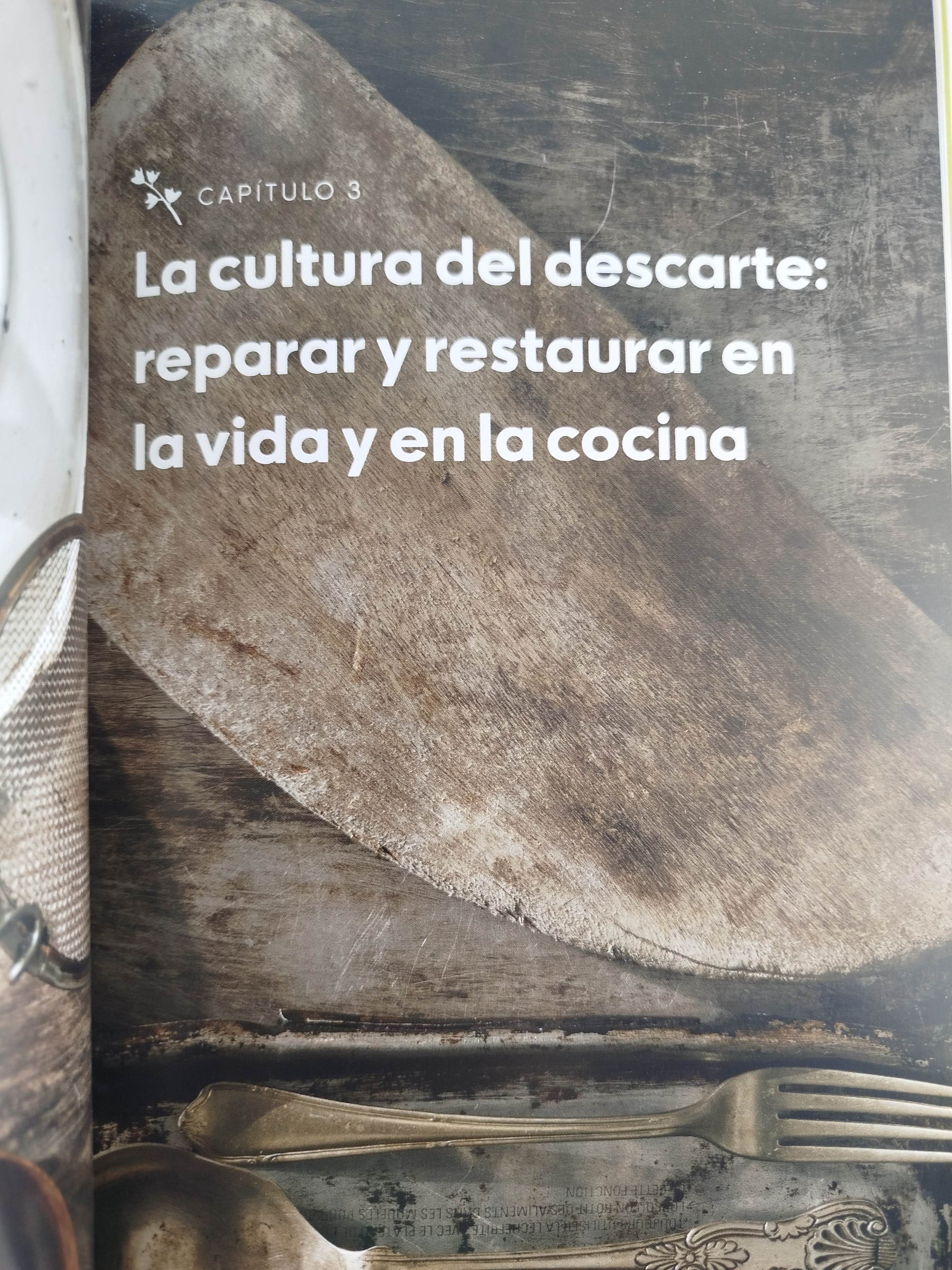 Aprovéchalo by Elizabeth Reyes
