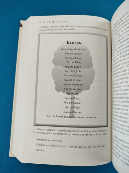 La historia NVI lee la experimenta la biblia