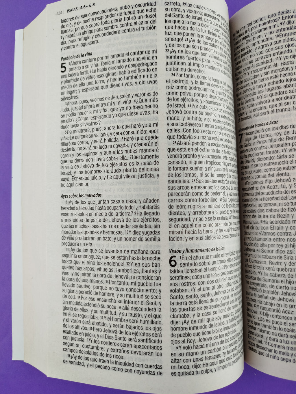 Biblia rvr 1960 misionera morado flores by Reina Valera 1960