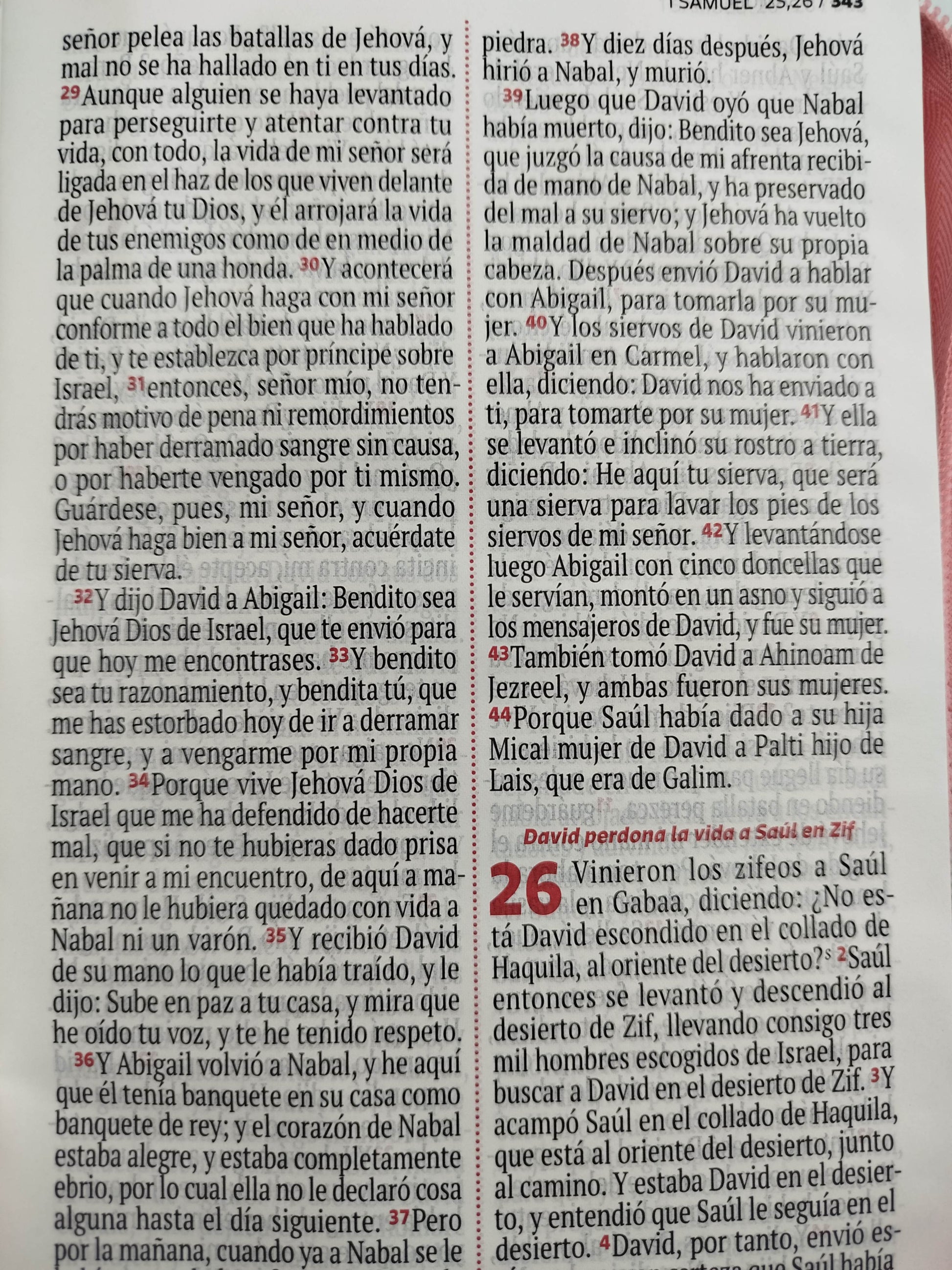 Biblia RVR 1960 rosada, canto plateado letra grande by Reina Valera 1960