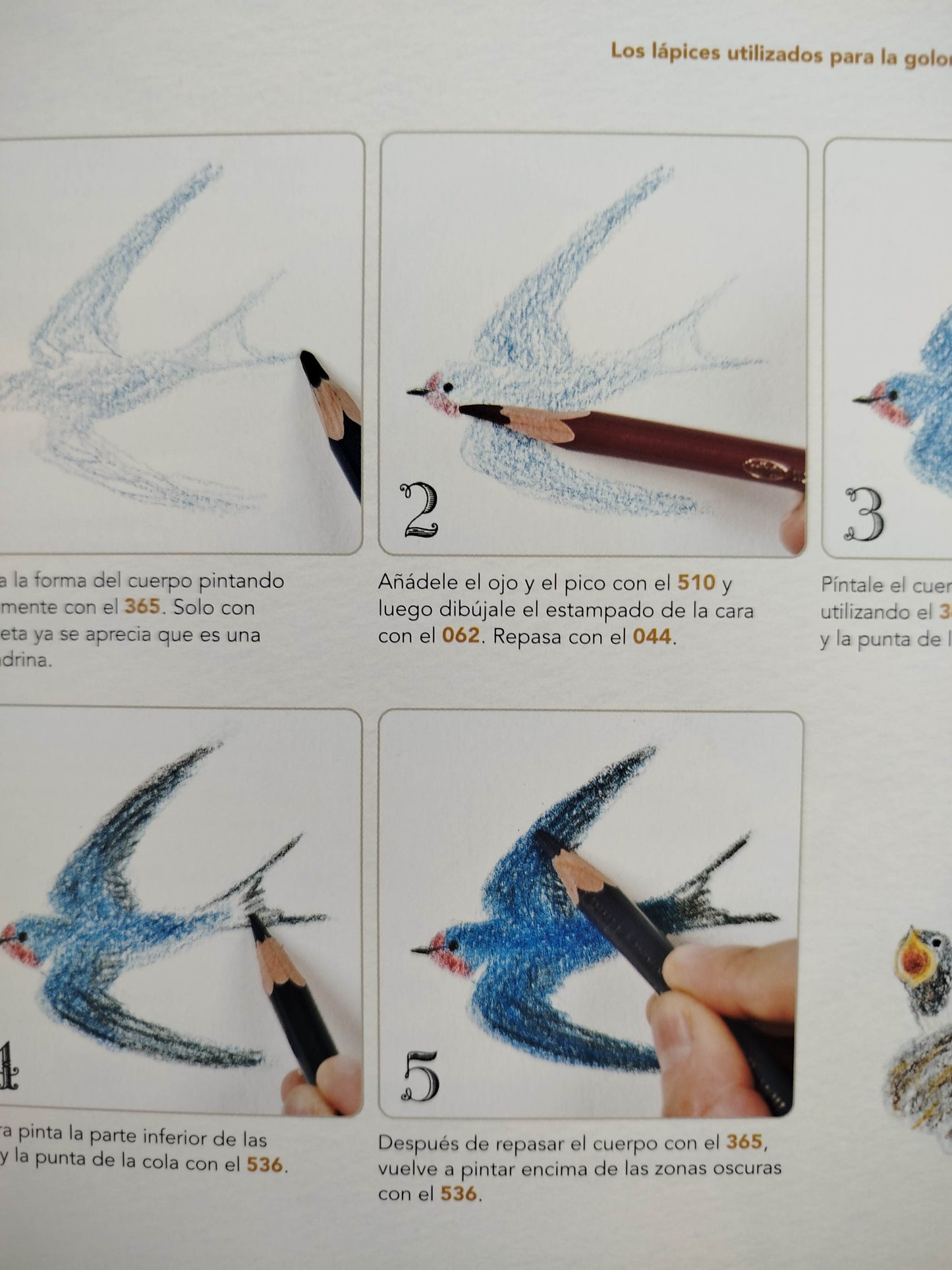 Dibuja todo tipo de aves by Ai Akikusa