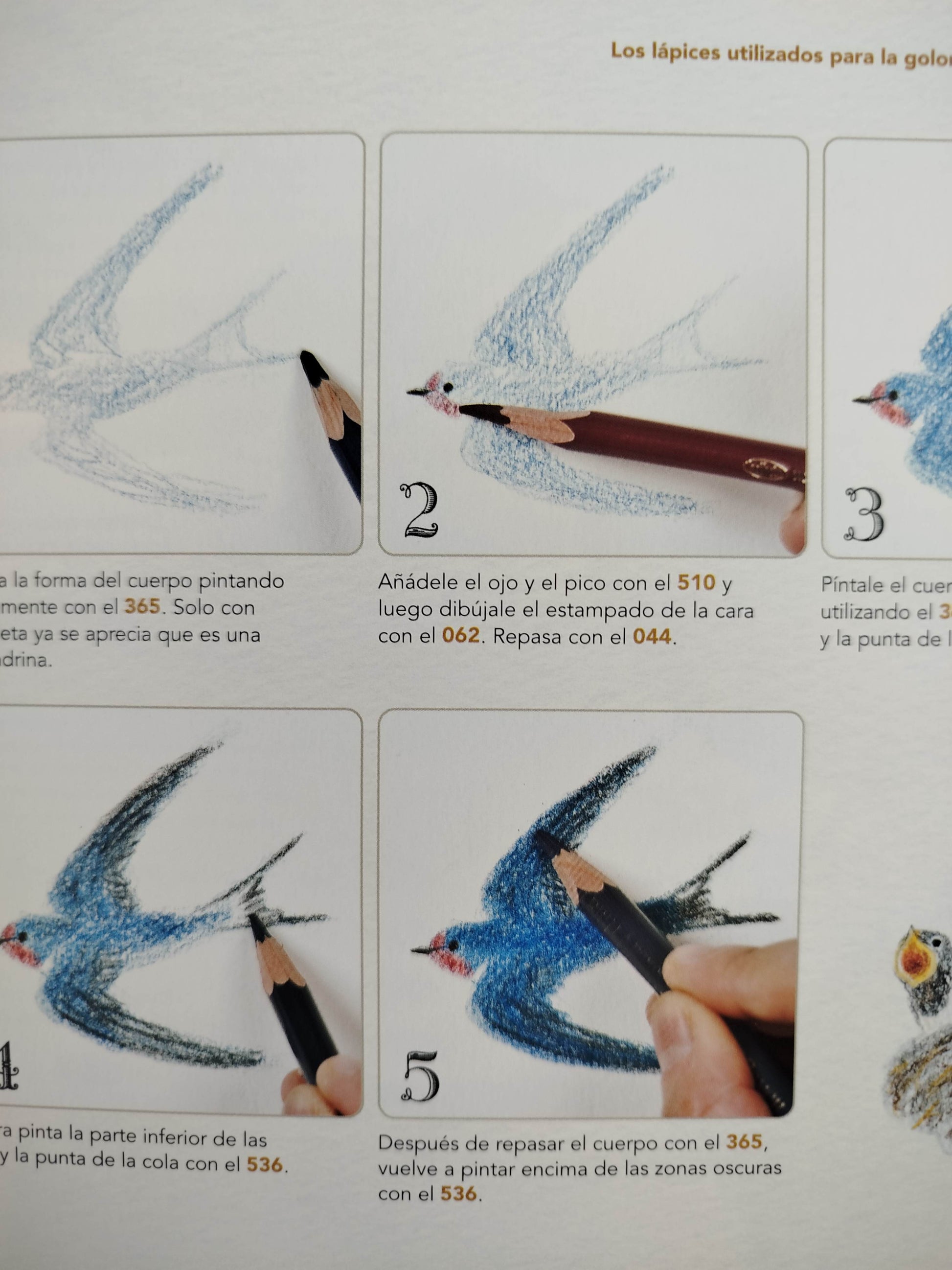 Dibuja todo tipo de aves by Ai Akikusa