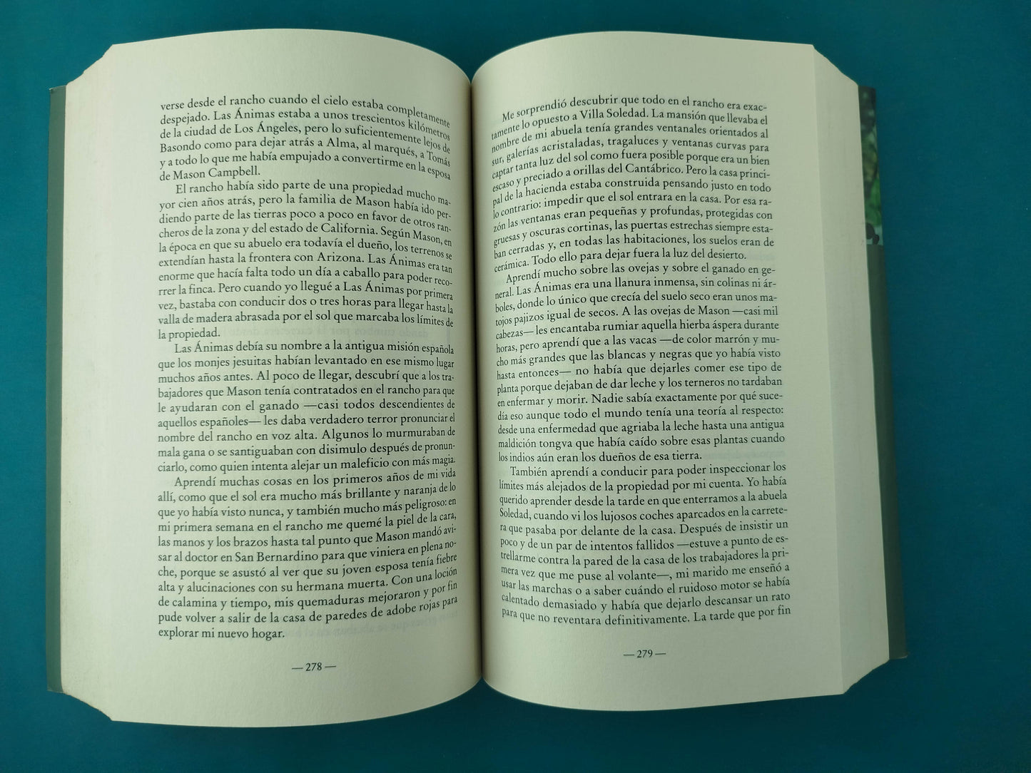 El bosque sabe tu nombre