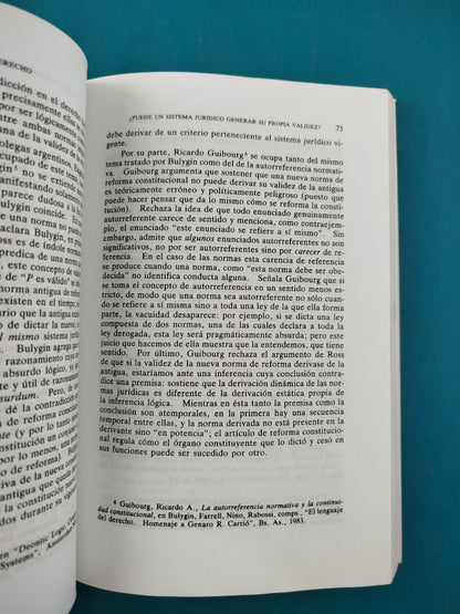 La Validez del Derecho