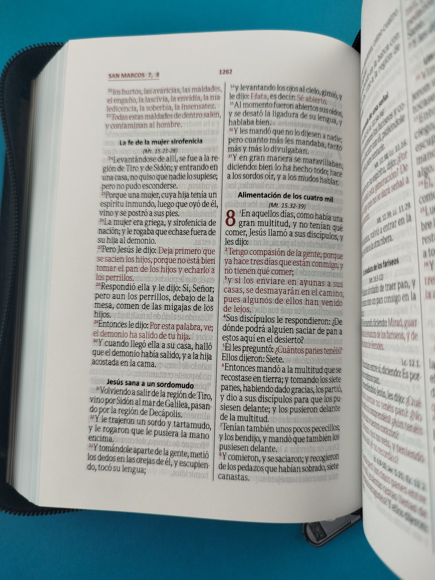 Biblia pequeña negra promoción