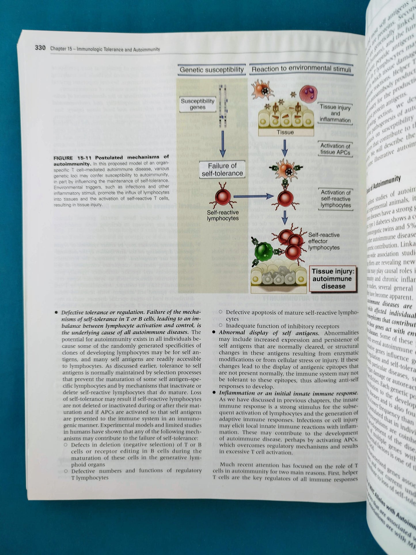 Cellular and molecular immunology eight edition