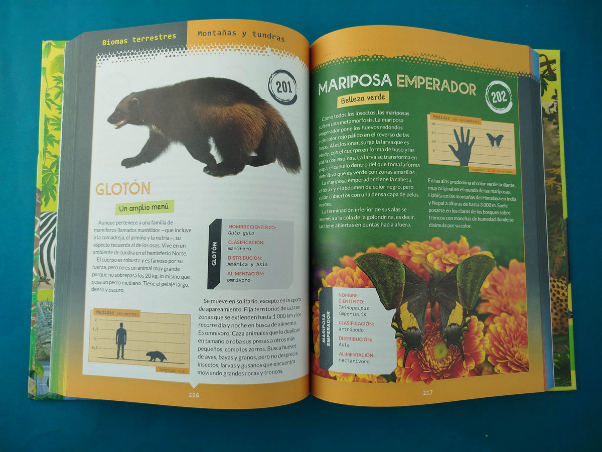 365 animales terrestres y marinos by varios Autores