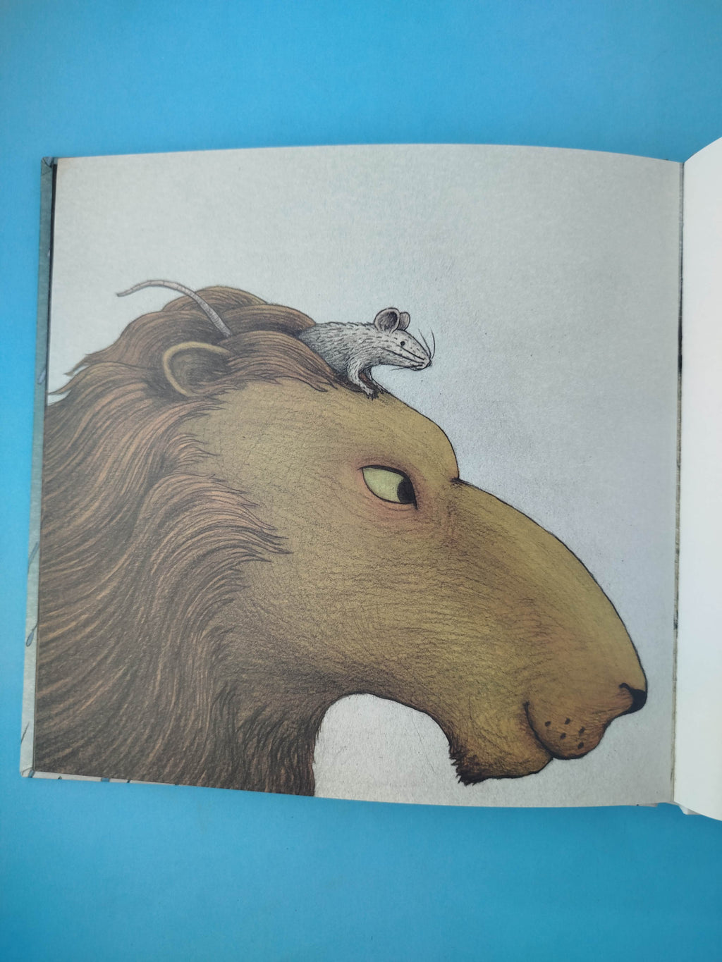 León y ratón by Jairo Buitrago, Rafael Yockteng