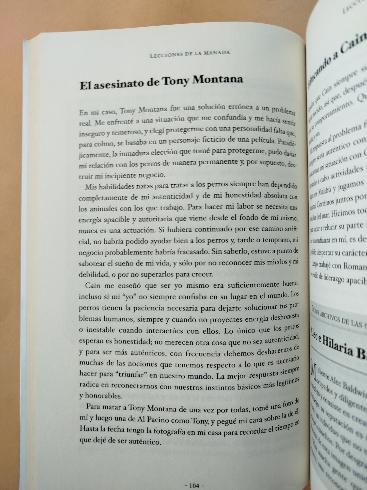 Lecciones de la manada