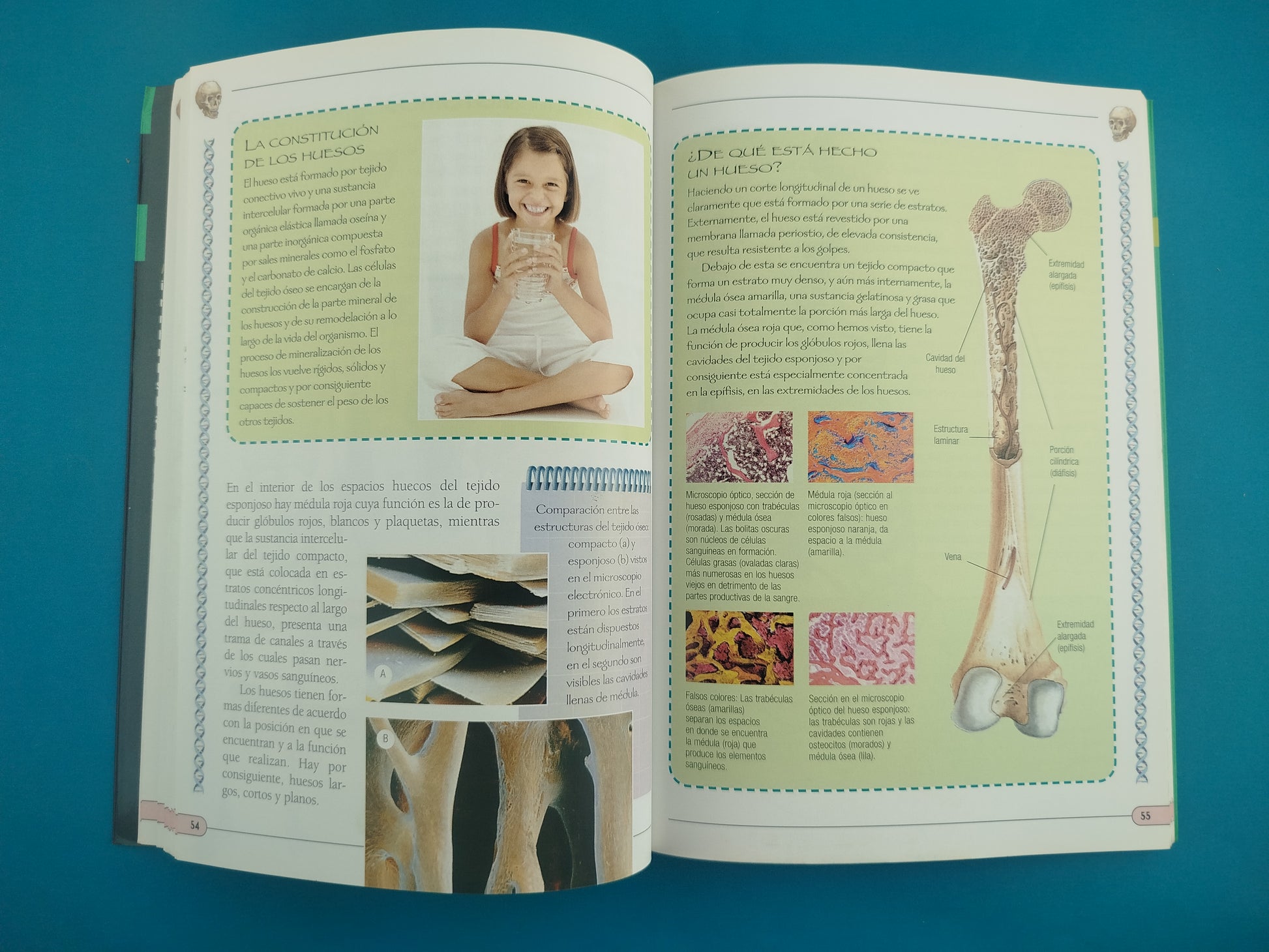 Ciencias Atlas del saber El cuerpo humano by varios Autores