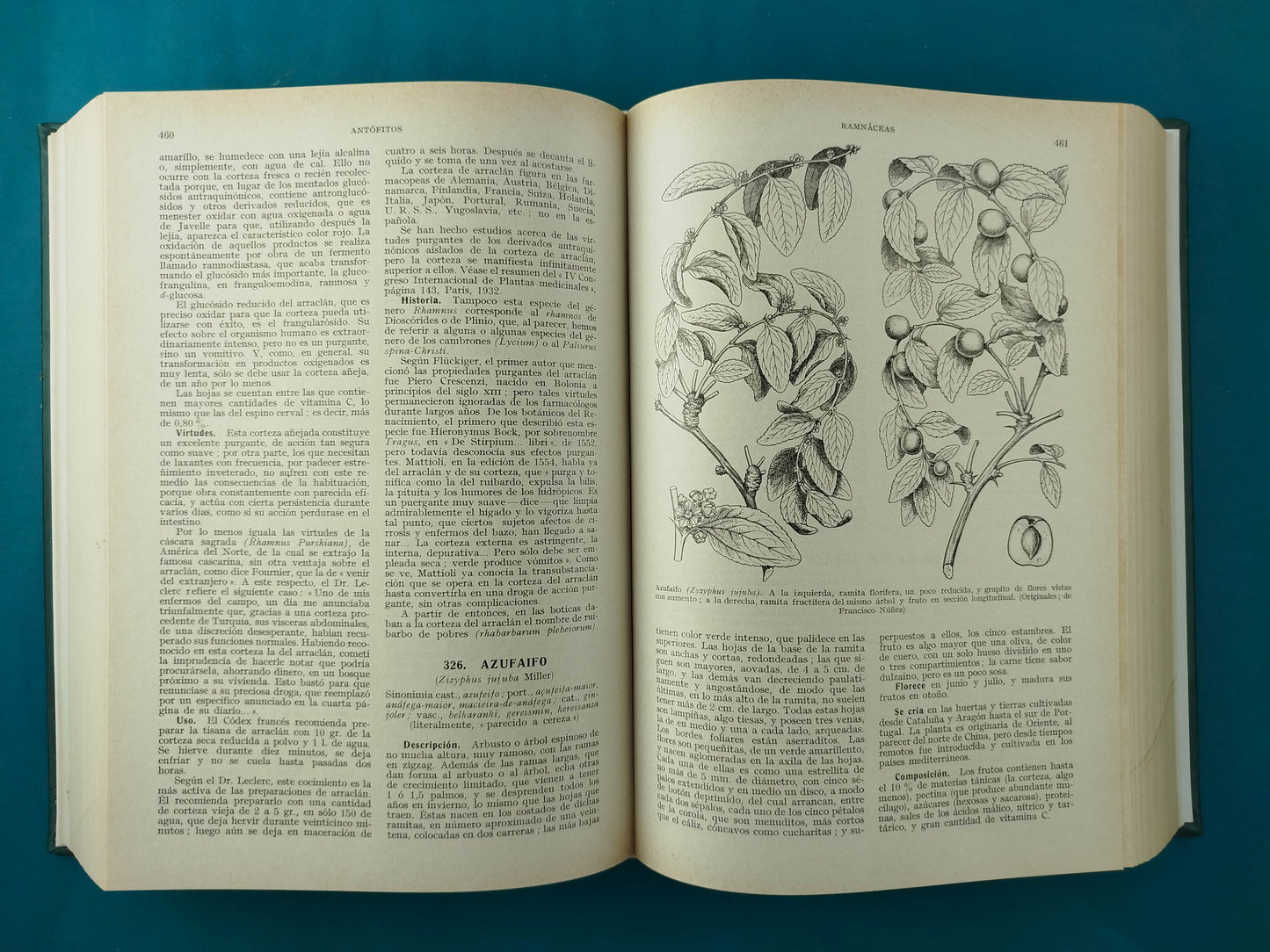 Plantas medicinales el Dioscórides renovado