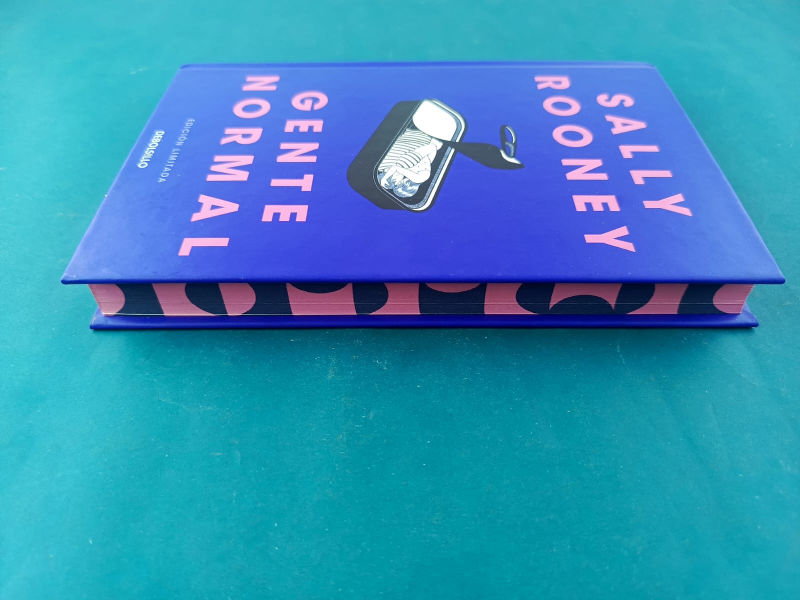 Gente Normal by Sally Rooney