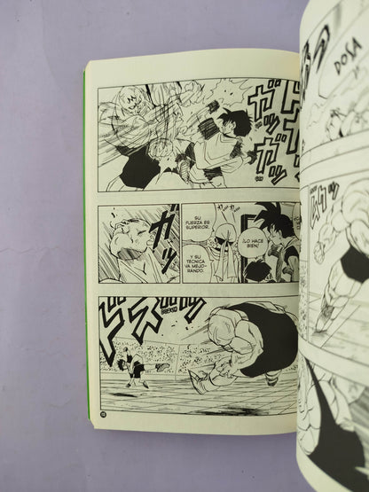 Dragon Ball N.37