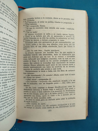 Madame Bovary salambo