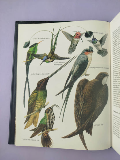 Gran enciclopedia ilustrada los animales 10 tomos