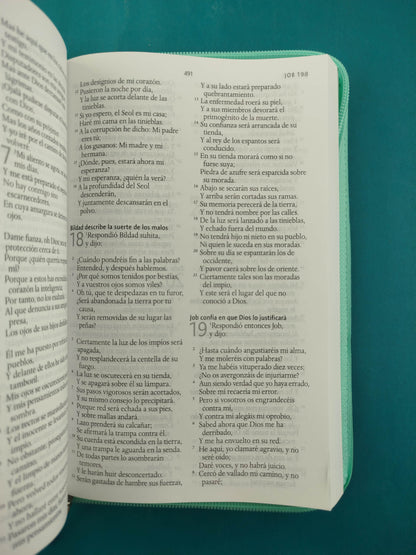 Biblia RVR 1960 Letra Grande Estuche Verde con Mariposas