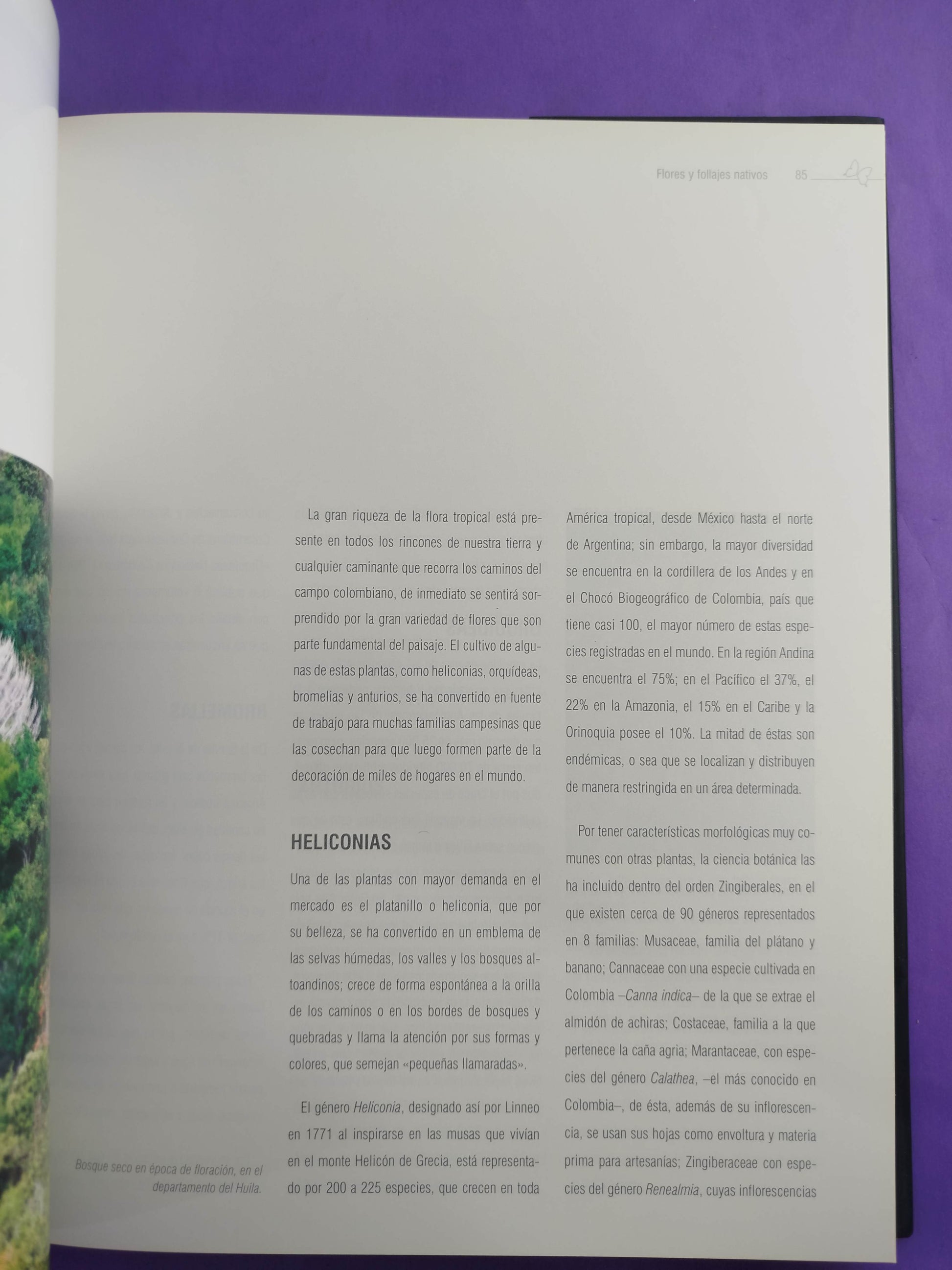 Biocomercio Sostenible: Biodiversidad y Desarrollo En Colombia by José Antonio Gómez