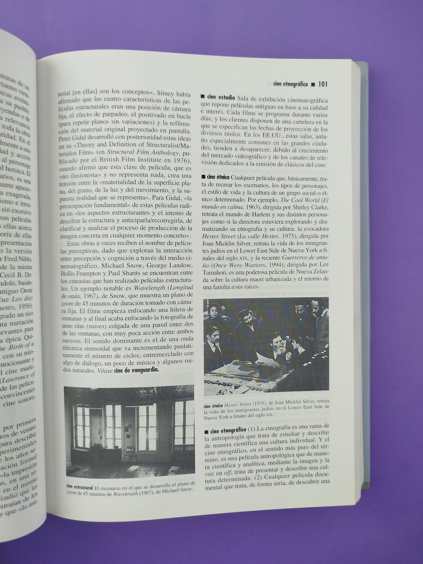 Diccionario Técnico Akal de Cine