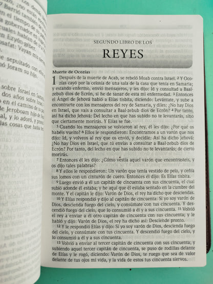 Biblia lectura fácil letra grande 1977 rvr