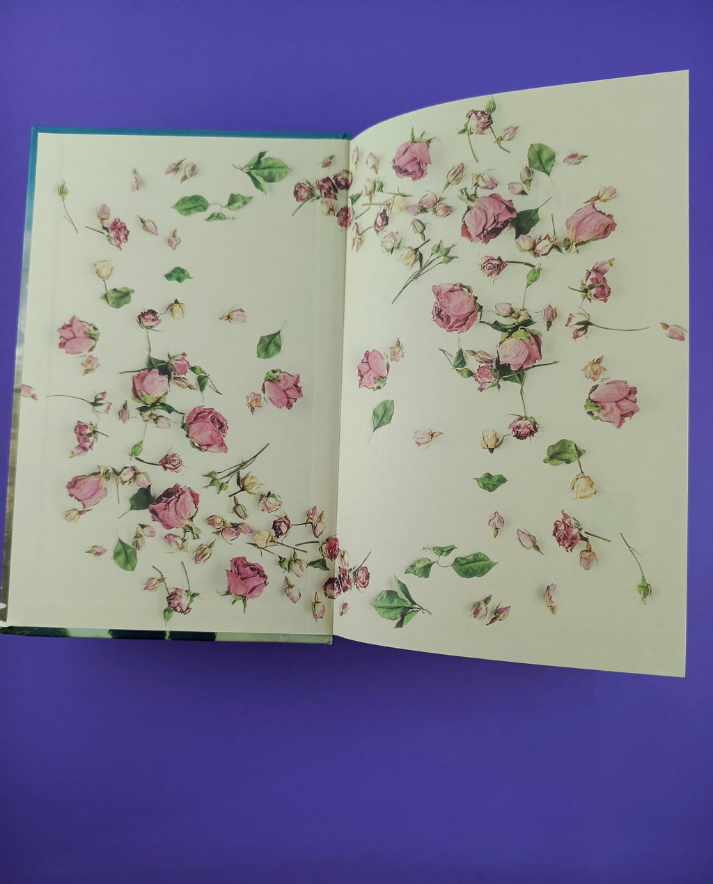 Las rosas olvidadas by Hall Kelly Martha