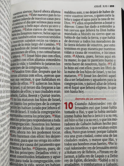 Biblia RVR 1960 negra, canto plateado letra grande by Reina Valera 1960