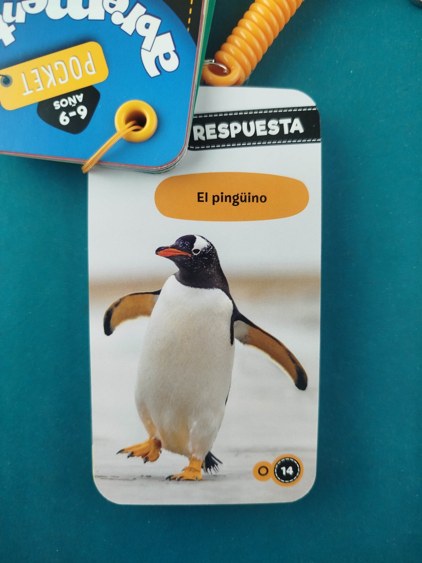 Rompecocos Abremente Pocket