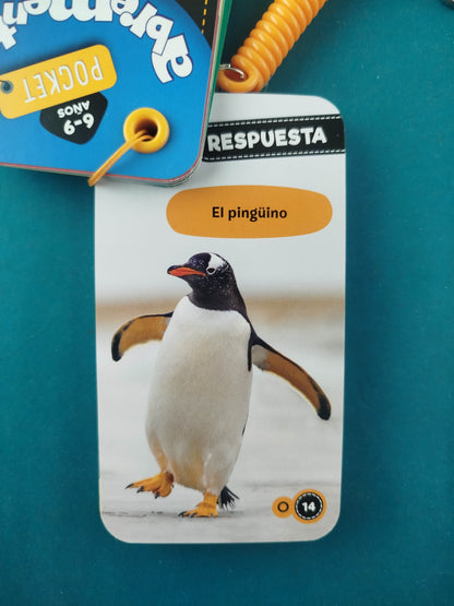 Rompecocos Abremente Pocket