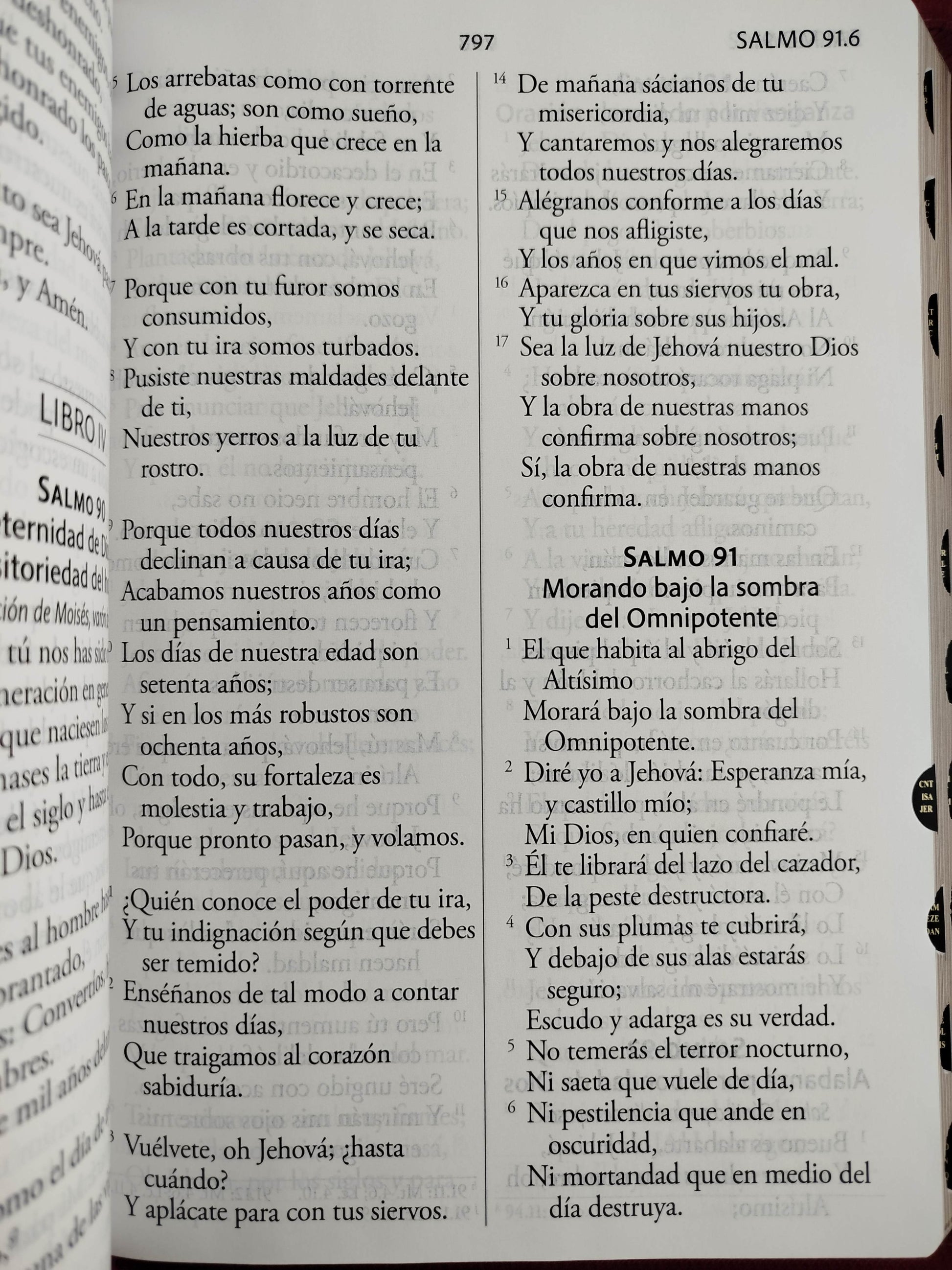 Biblia Reina Valera Revisada 1960 letra súper gigante, símil piel fucsia rosada, cremallera e índice by Cipriano Valera