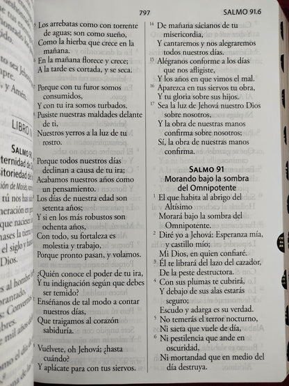 Biblia Reina Valera Revisada 1960 letra súper gigante, símil piel fucsia rosada, cremallera e índice by Cipriano Valera
