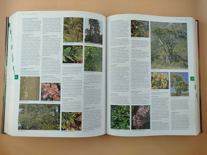 Botánica: guía ilustrada de plantas : más de 10.000 especies de la A a la Z y como cultivarlas