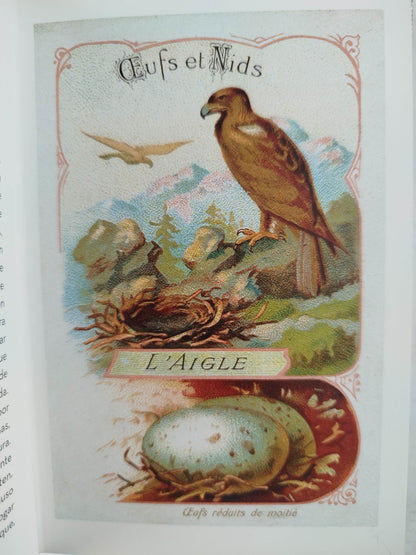 El Pequeño libro de las Aves by Anne Jankeliowitch