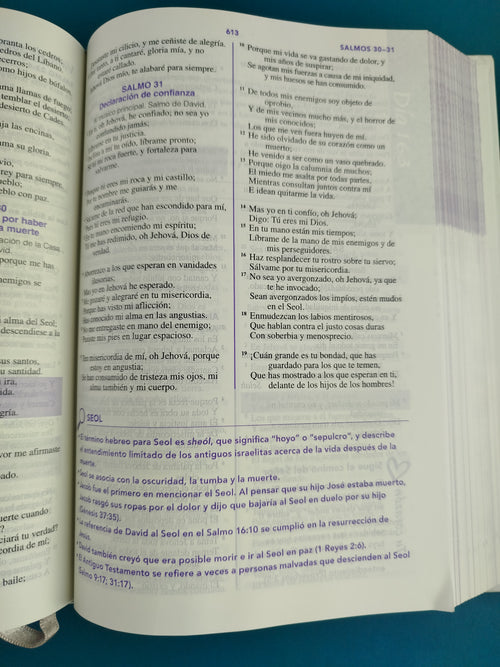 Biblia de una joven conforme al corazón de Dios pasta dura by Reina Valera 1960