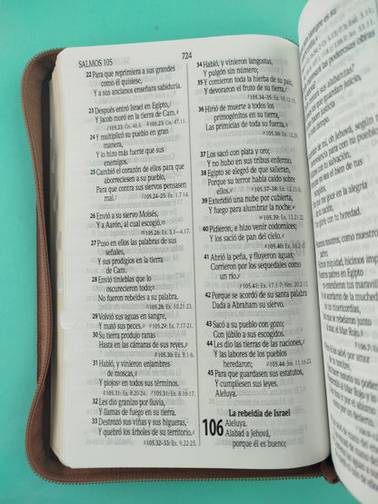 Biblia rvr 1960 negra-marrón con cierre e índice