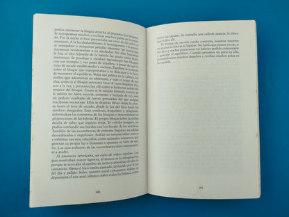 Todo lo que tengo lo llevo conmigo