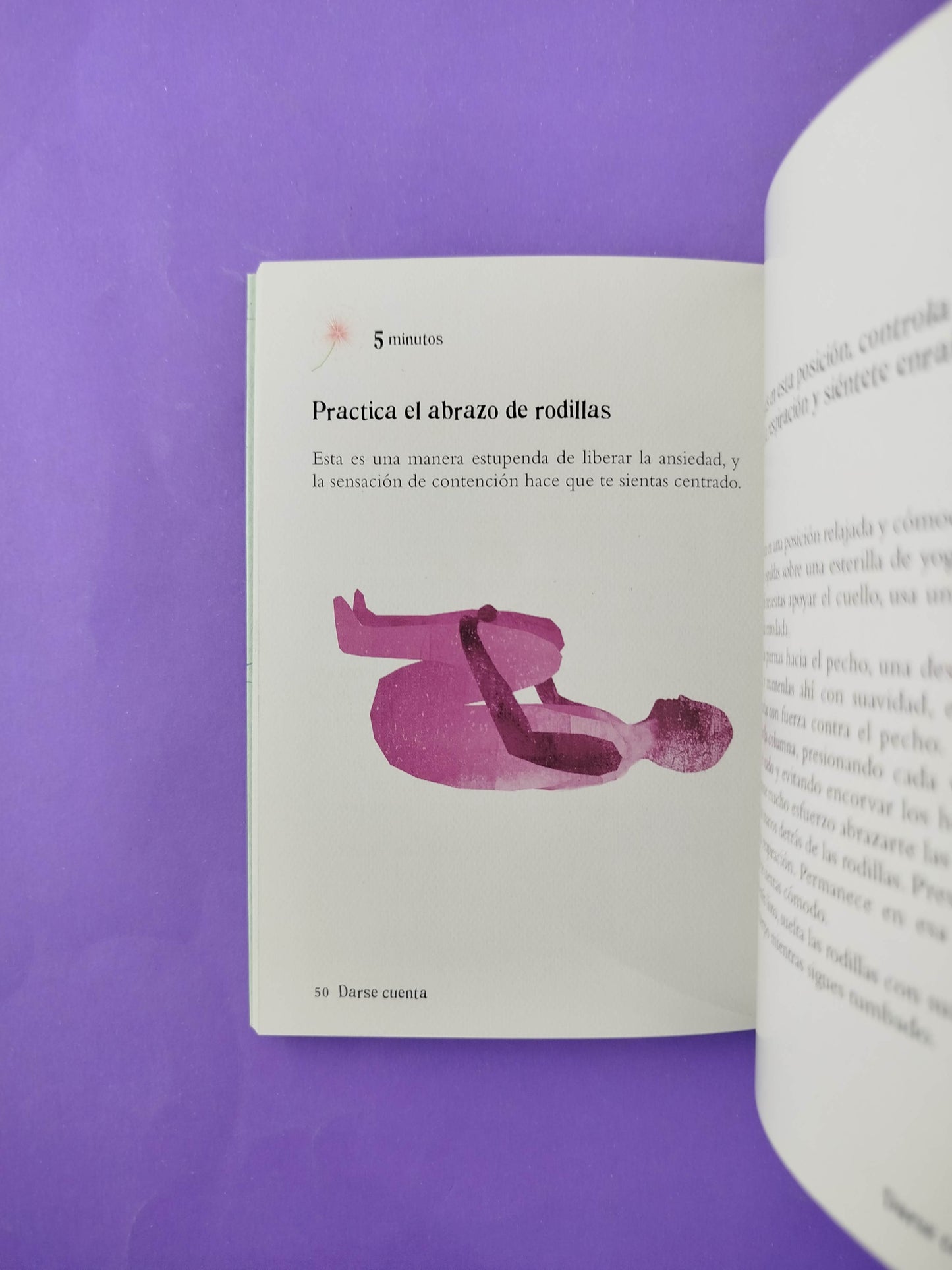 El pequeño libro del Mindfulness