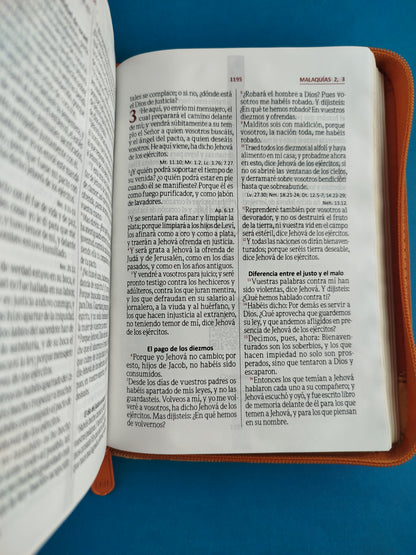Biblia troquelada naranja beige borde dorado