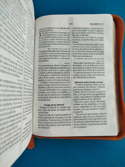 Biblia troquelada naranja beige borde dorado by Reina Valera 1960