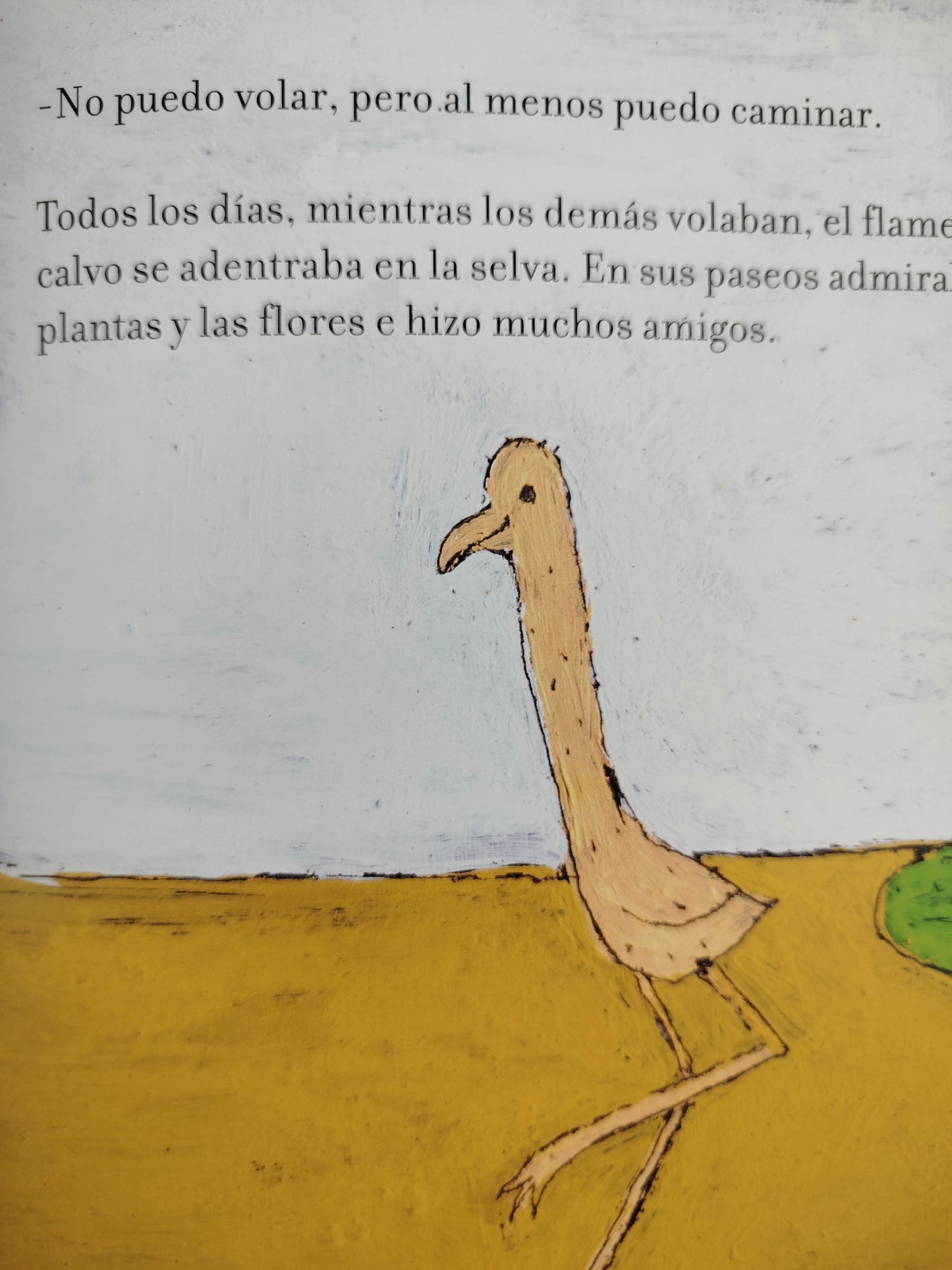 El flamenco calvo by Amalia Low