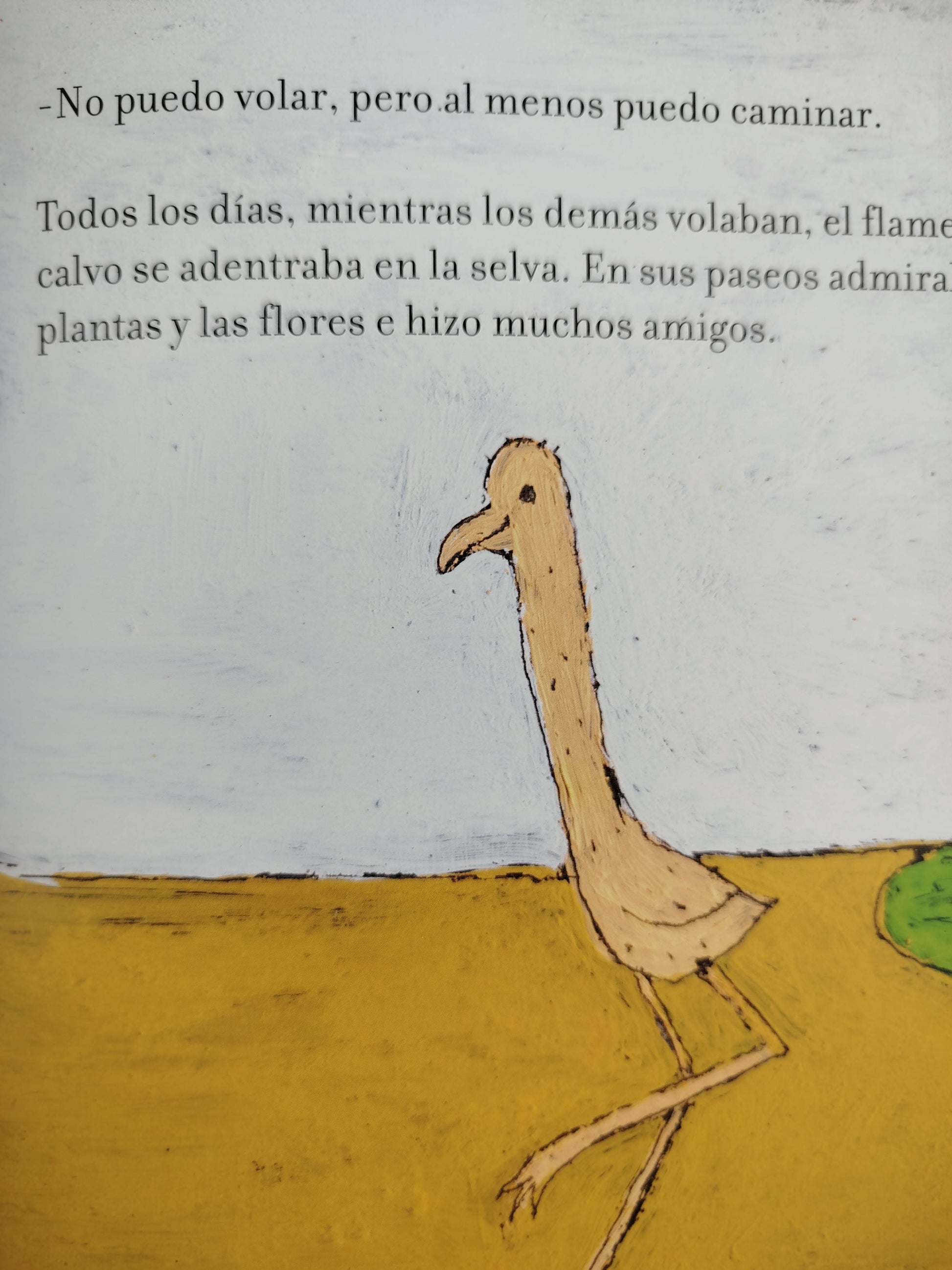 El flamenco calvo by Amalia Low