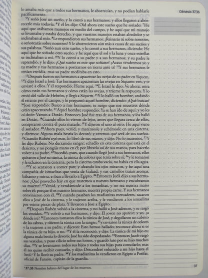 Biblia de Apuntes RVR 1960 Tapa dura, Azul celeste con flores (Edición cantos pintados) by Cipriano Valera