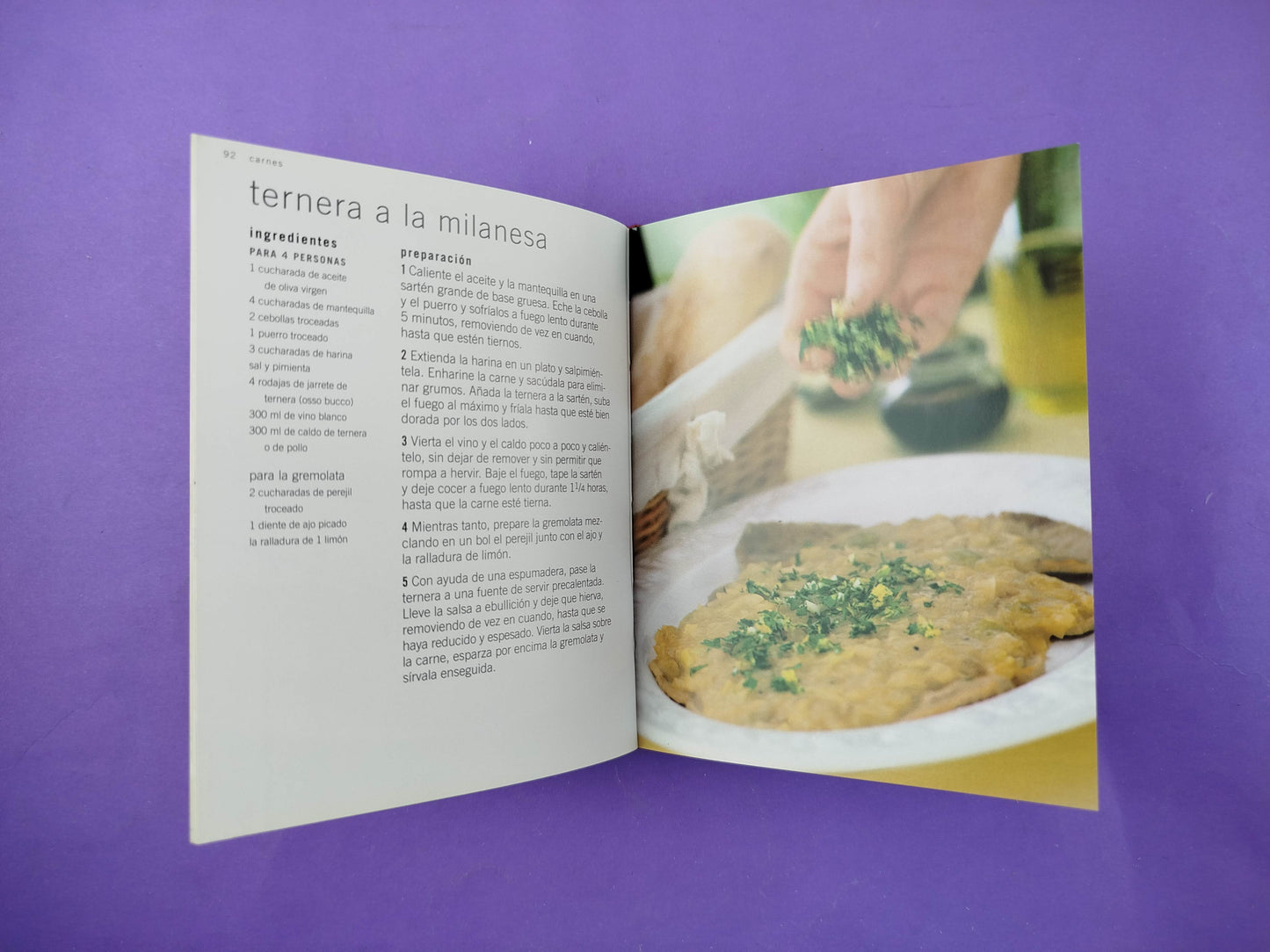 Cocina italiana más de 100 irresistibles recetas